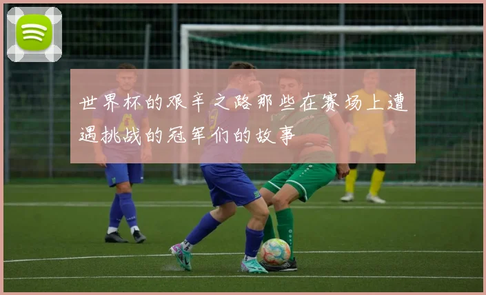 世界杯的艰辛之路那些在赛场上遭遇挑战的冠军们的故事