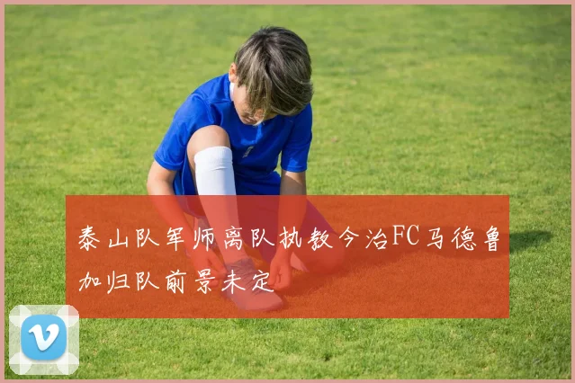 泰山队军师离队执教今治FC马德鲁加归队前景未定