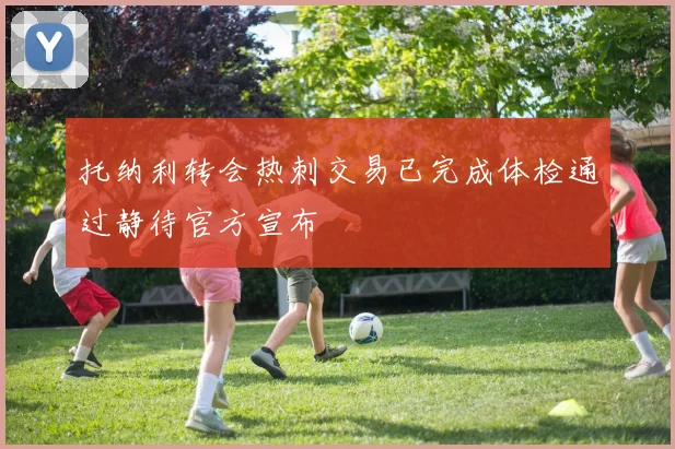 托纳利转会热刺交易已完成体检通过静待官方宣布