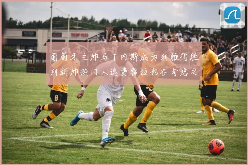 葡萄牙主帅马丁内斯成为利雅得胜利新帅热门人选费雷拉也在考虑之中